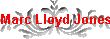 Marc Lloyd Jones