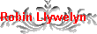Robin Llywelyn