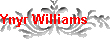 Ynyr Williams